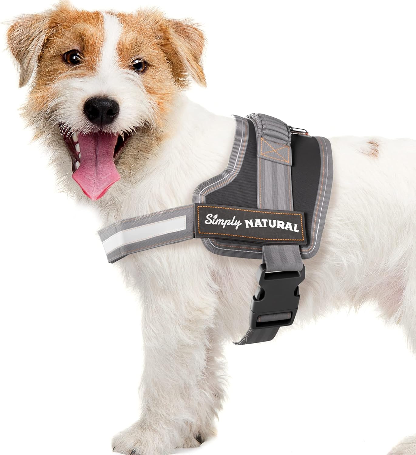 High-Margin Multi-Category Essentials Liquidation - $1.03/unit