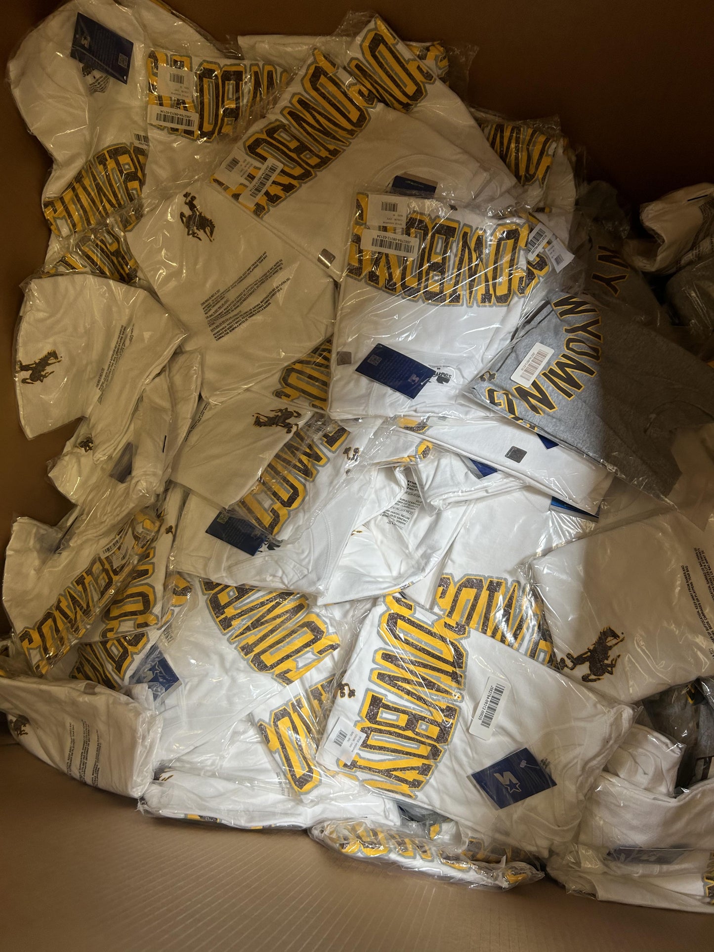 20-State Collegiate NCAA Apparel Liquidation (FOB UT) - $6.00/unit