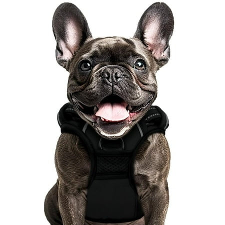 Animals & Pet Supplies Lot - Grooming • Supplements • Harnesses • Aquarium Care (FOB NJ) - $2.83/unit