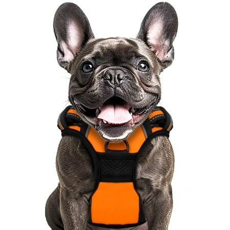 Animals & Pet Supplies Lot - Grooming • Supplements • Harnesses • Aquarium Care (FOB NJ) - $2.83/unit