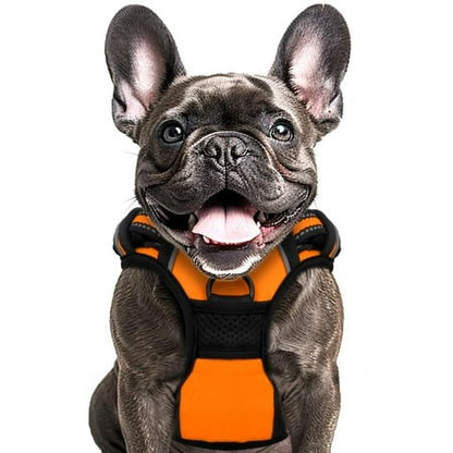Animals & Pet Supplies Lot - Grooming • Supplements • Harnesses • Aquarium Care (FOB NJ) - $2.83/unit