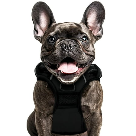 Animals & Pet Supplies Lot - Grooming • Supplements • Harnesses • Aquarium Care (FOB NJ) - $2.83/unit