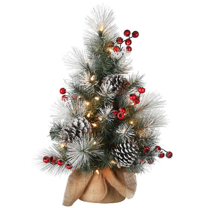 Holiday Trees & Trims - Vermont Spruce, National Tree Co Lot (FOB UT) - $16.40/unit