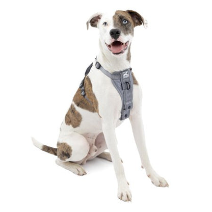 Animals & Pet Supplies Lot - Grooming • Supplements • Harnesses • Aquarium Care (FOB NJ) - $2.83/unit
