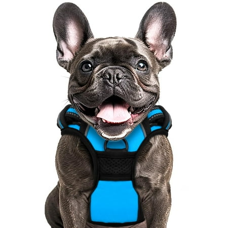 Animals & Pet Supplies Lot - Grooming • Supplements • Harnesses • Aquarium Care (FOB NJ) - $2.83/unit
