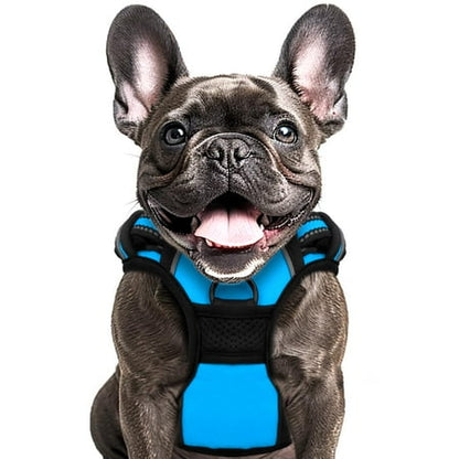 Animals & Pet Supplies Lot - Grooming • Supplements • Harnesses • Aquarium Care (FOB NJ) - $2.83/unit