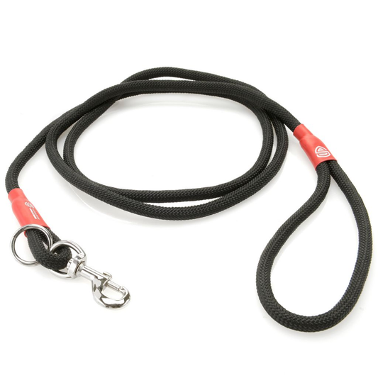 LED Pet Leashes & No-Pull Dog Leashes Lot – Assorted Colors & Sizes - $6.00/unit