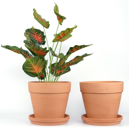 Exclusive Wholesale Opportunity: Premium Terracotta Pot Collection - $2.36/unit