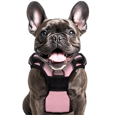 Animals & Pet Supplies Lot - Grooming • Supplements • Harnesses • Aquarium Care (FOB NJ) - $2.83/unit