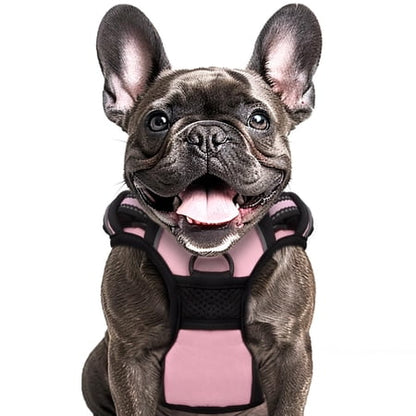 Animals & Pet Supplies Lot - Grooming • Supplements • Harnesses • Aquarium Care (FOB NJ) - $2.83/unit