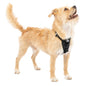 Animals & Pet Supplies Lot - Grooming • Supplements • Harnesses • Aquarium Care (FOB NJ) - $2.83/unit
